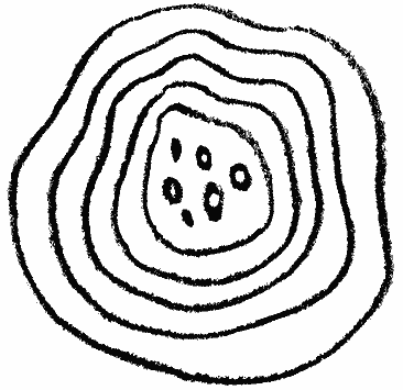 treetrunk illustration