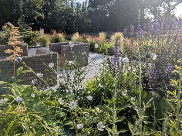 Planting design anemone leveillei salvia dear anja