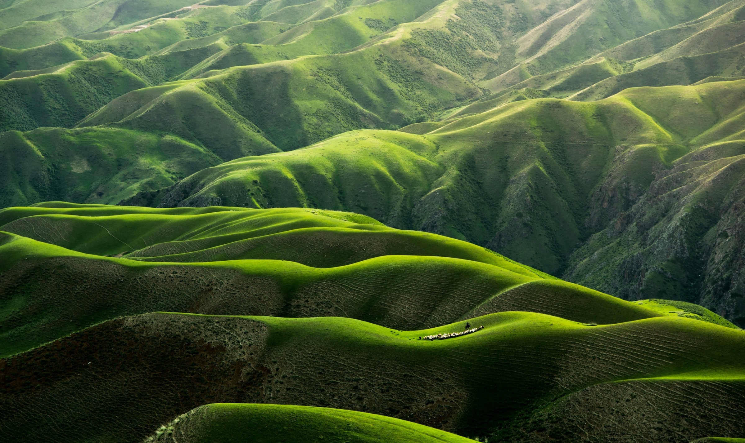 Qingbao meng 01 ig Fr7hd4 unsplash