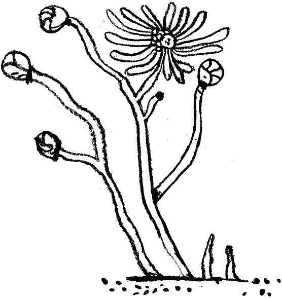 Euribya 2